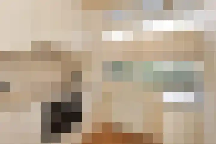 Leyweg 26 Den Haag thumbnail 16