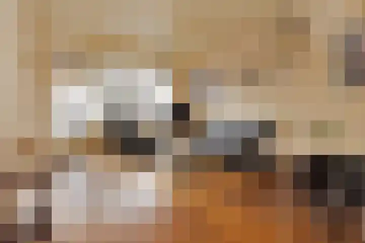 Leyweg 26 Den Haag foto 2