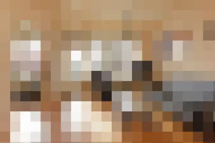 Leyweg 26 Den Haag foto 3