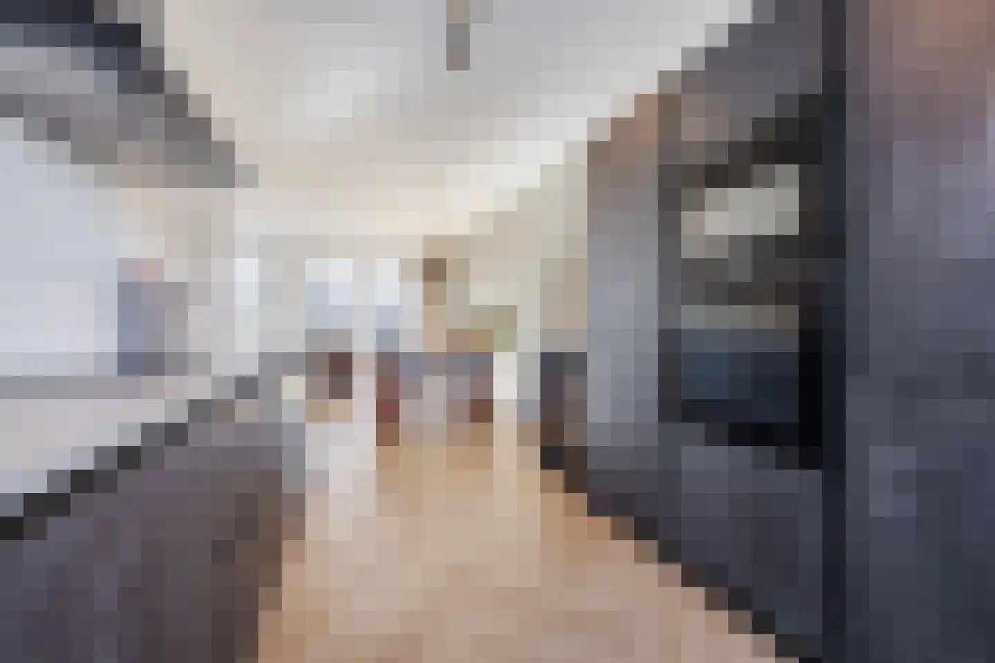 Leyweg 273 Den Haag thumbnail 17