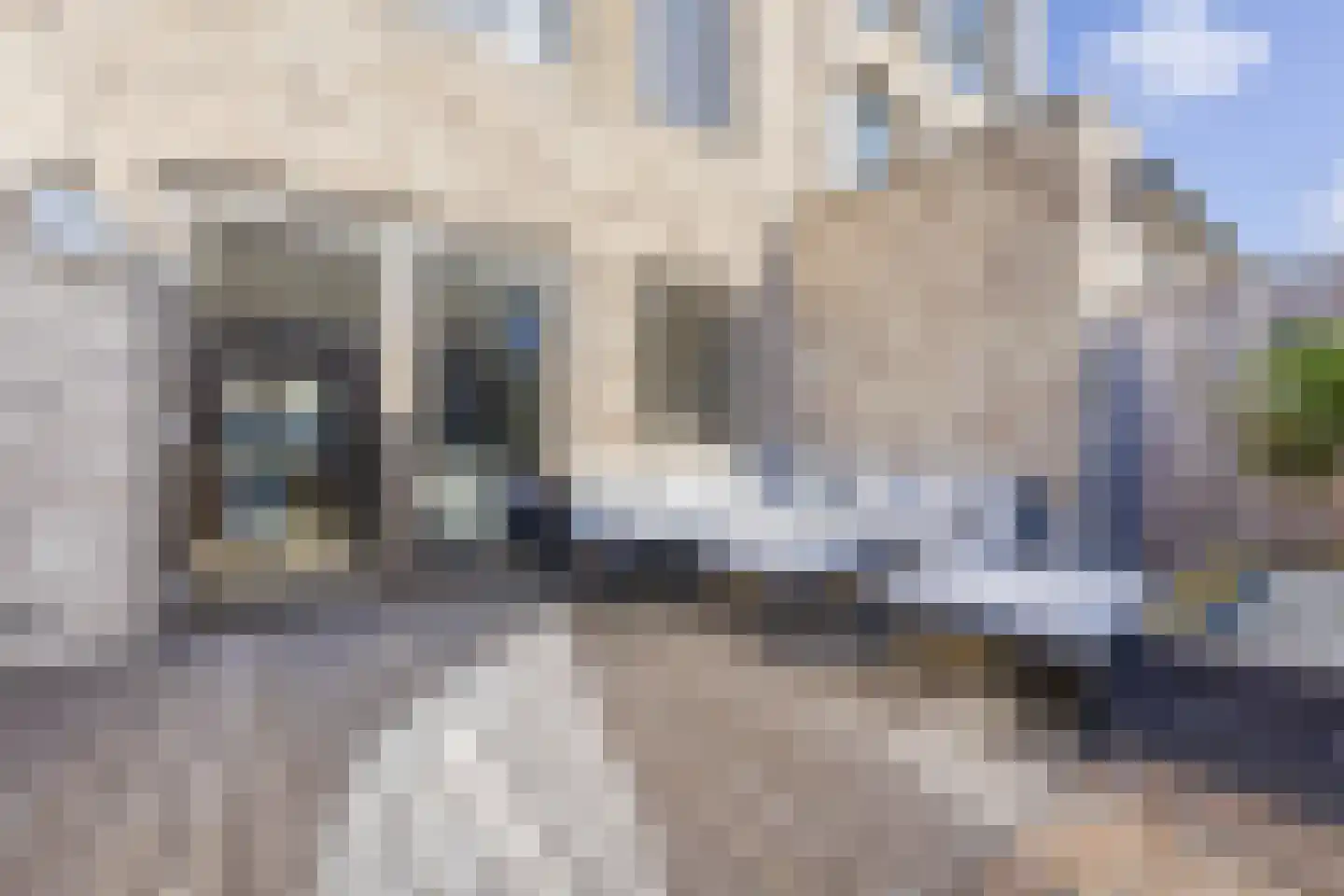 Leyweg 273 Den Haag thumbnail 18
