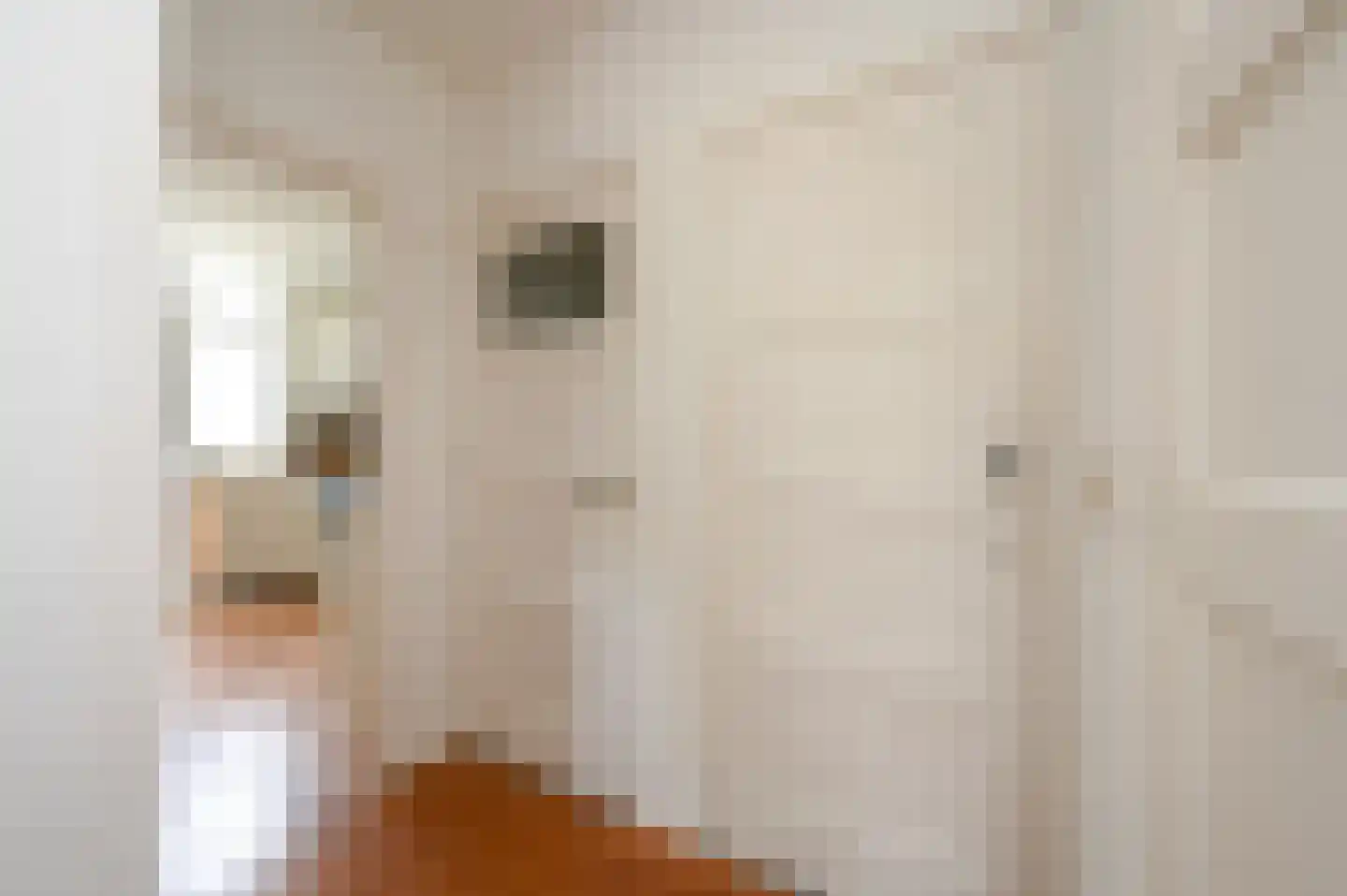 Leyweg 274 Den Haag thumbnail 18