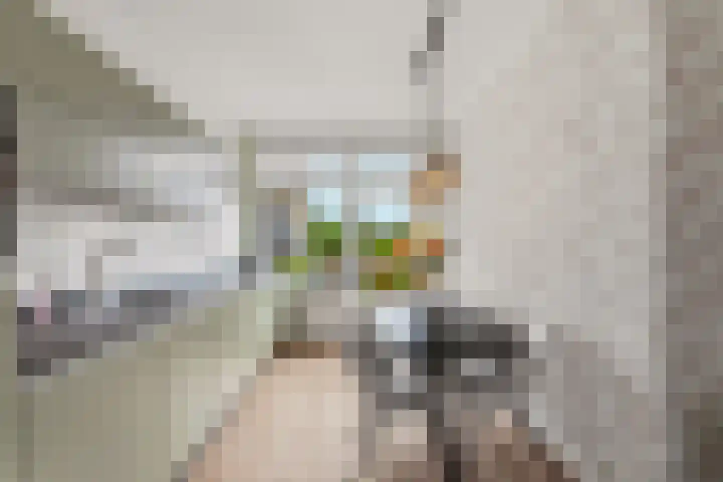 Leyweg 288 Den Haag thumbnail 23