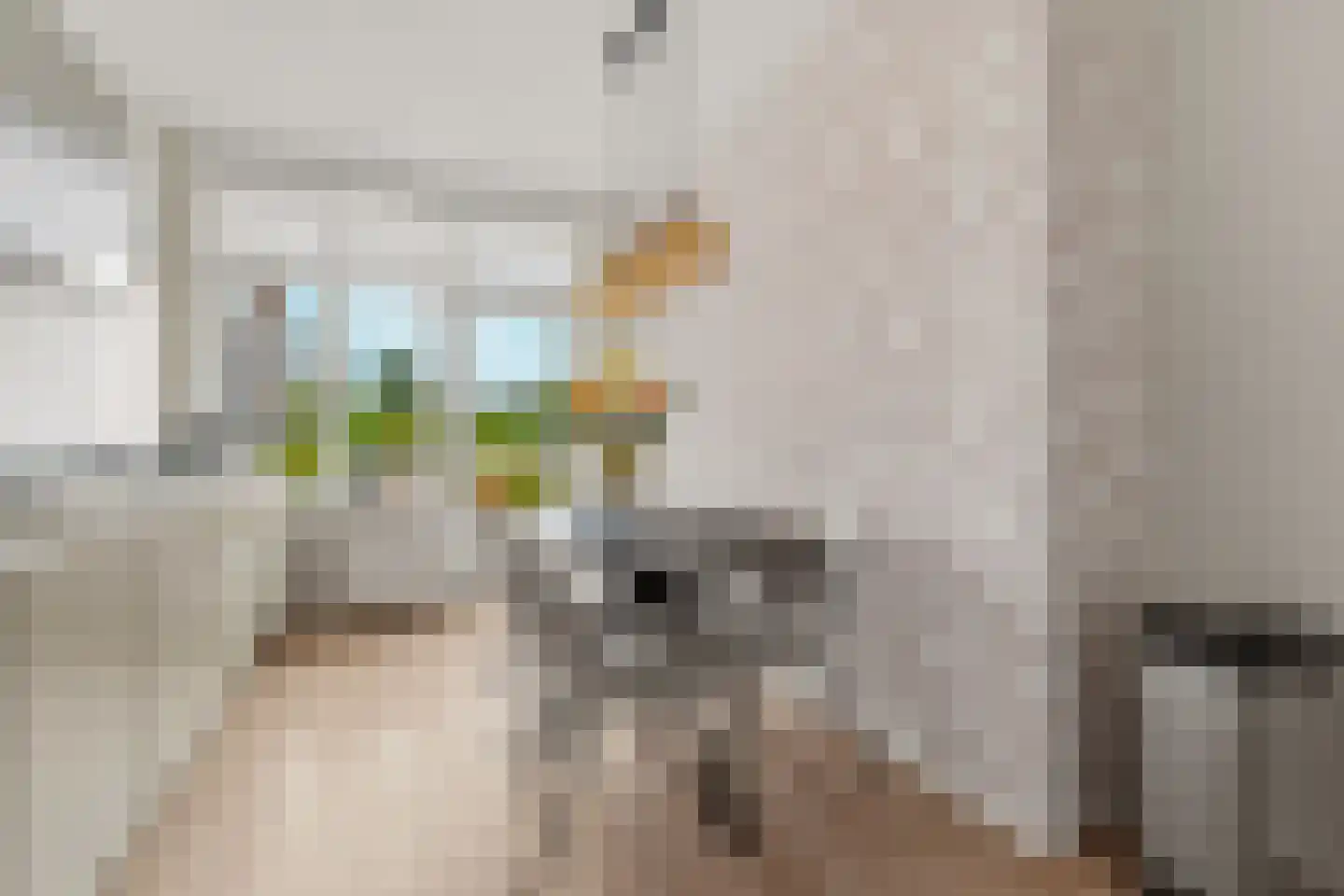 Leyweg 288 Den Haag thumbnail 32