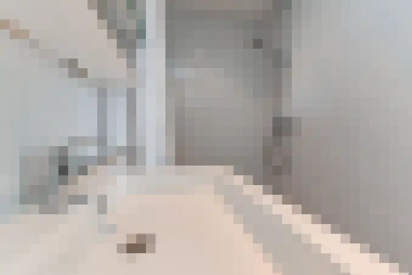 Leyweg 370 Den Haag thumbnail 15