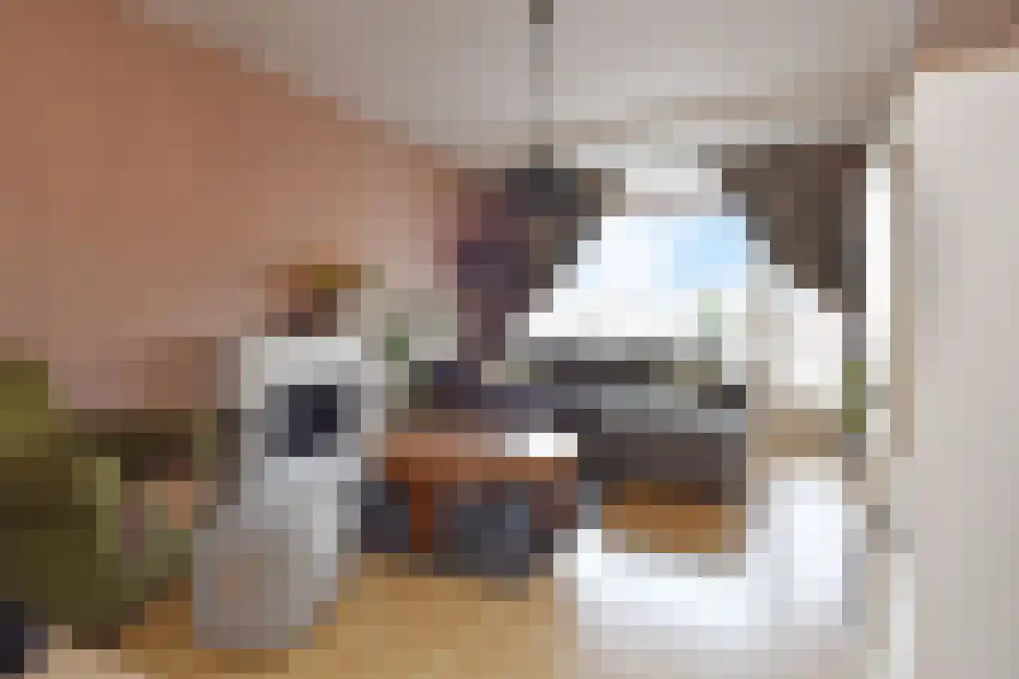 Leyweg 38 B Den Haag thumbnail 6
