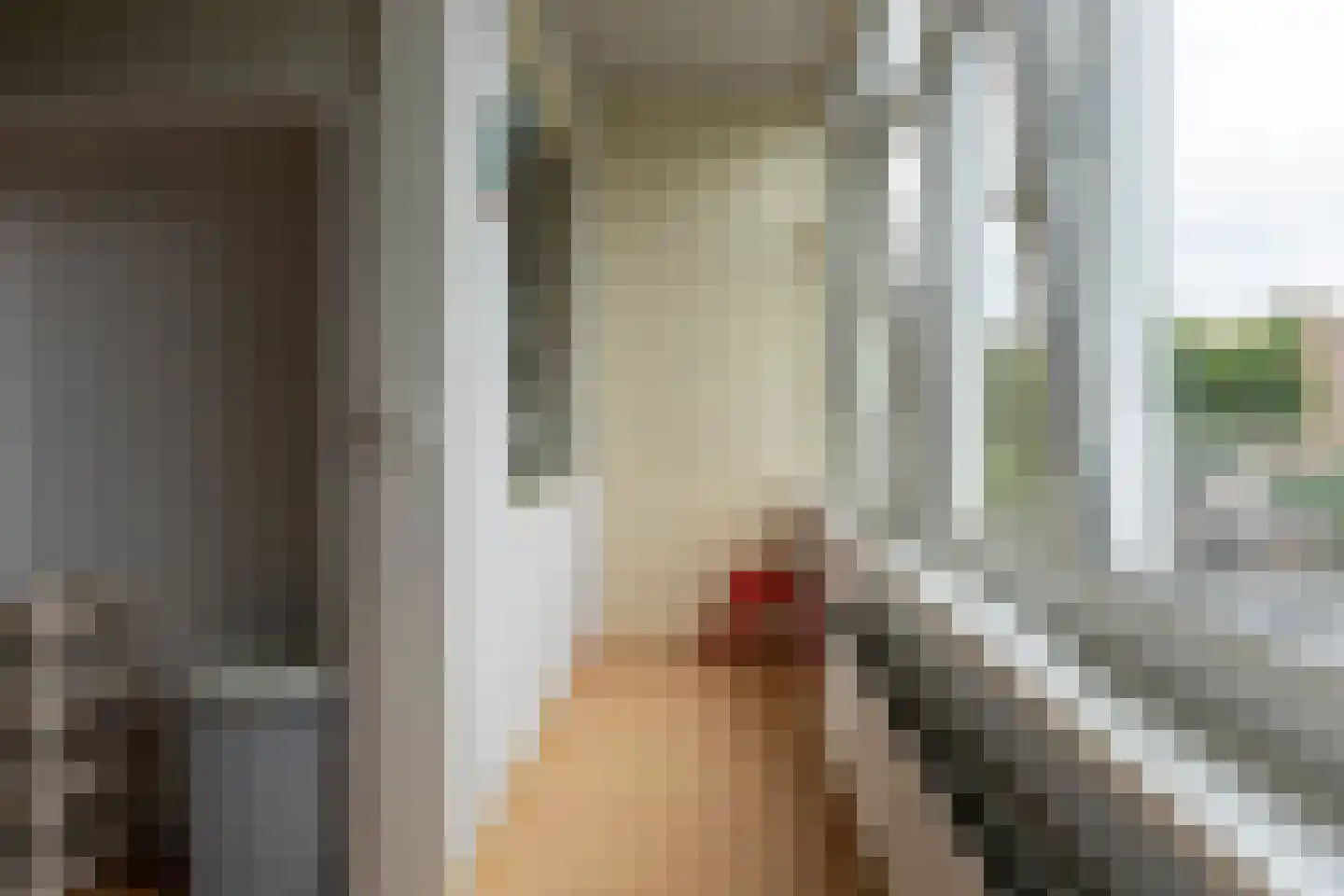 Leyweg 392 Den Haag thumbnail 19