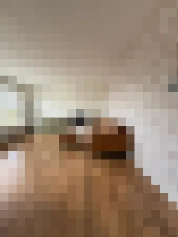 Leyweg 430 Den Haag thumbnail 4