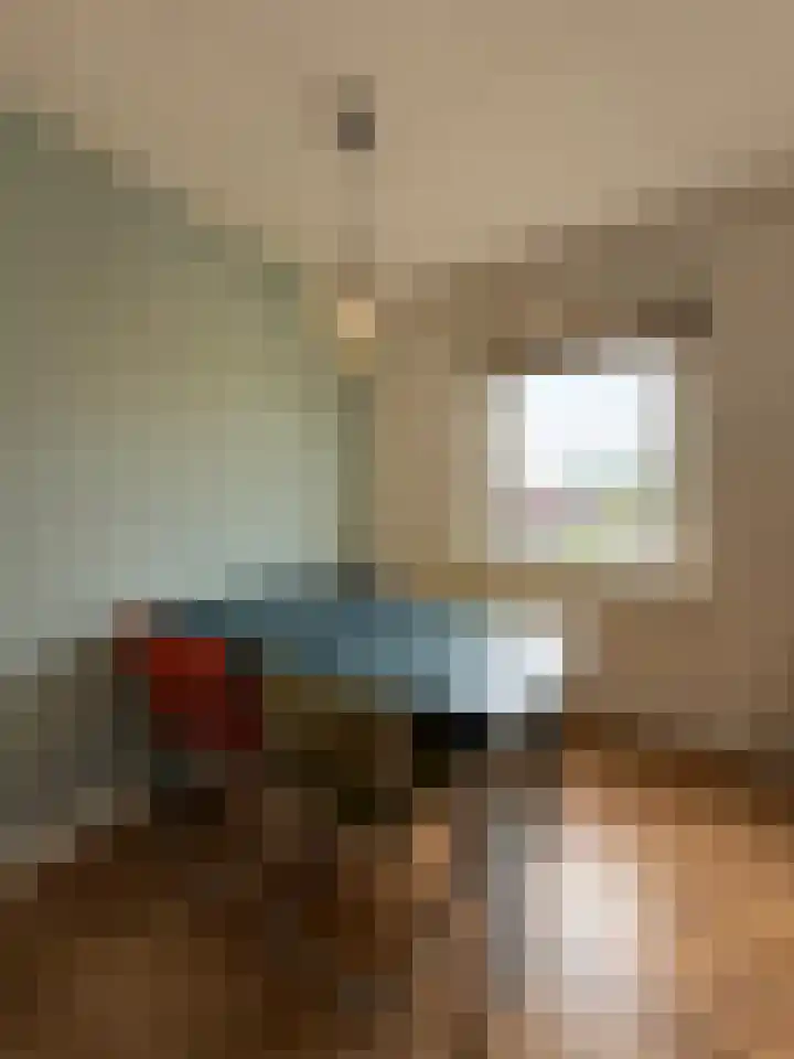 Leyweg 430 Den Haag thumbnail 7