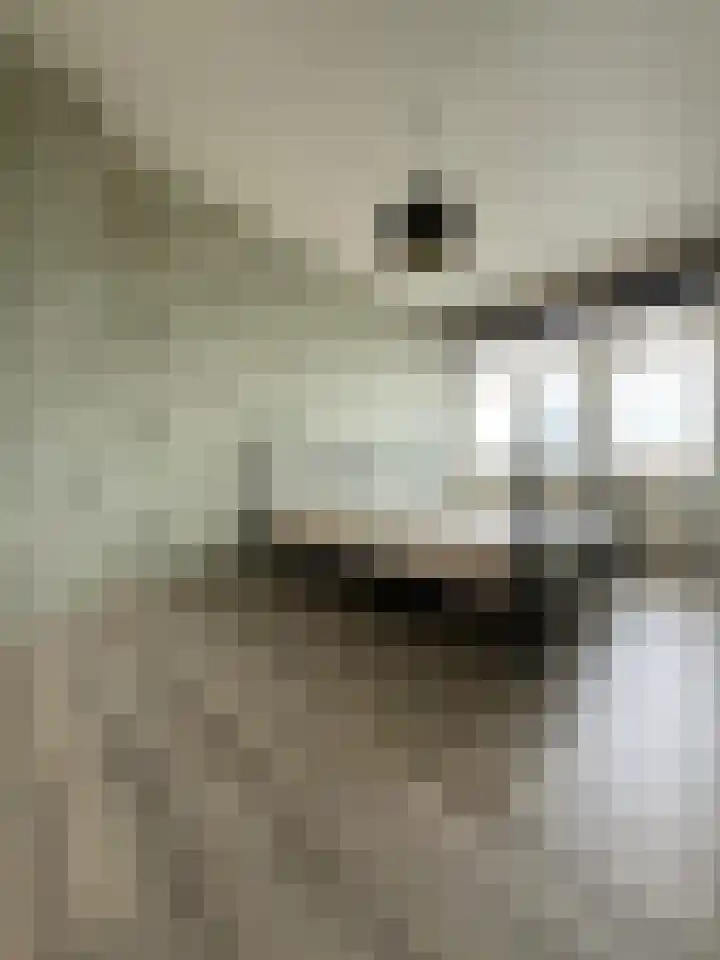 Leyweg 430 Den Haag thumbnail 8