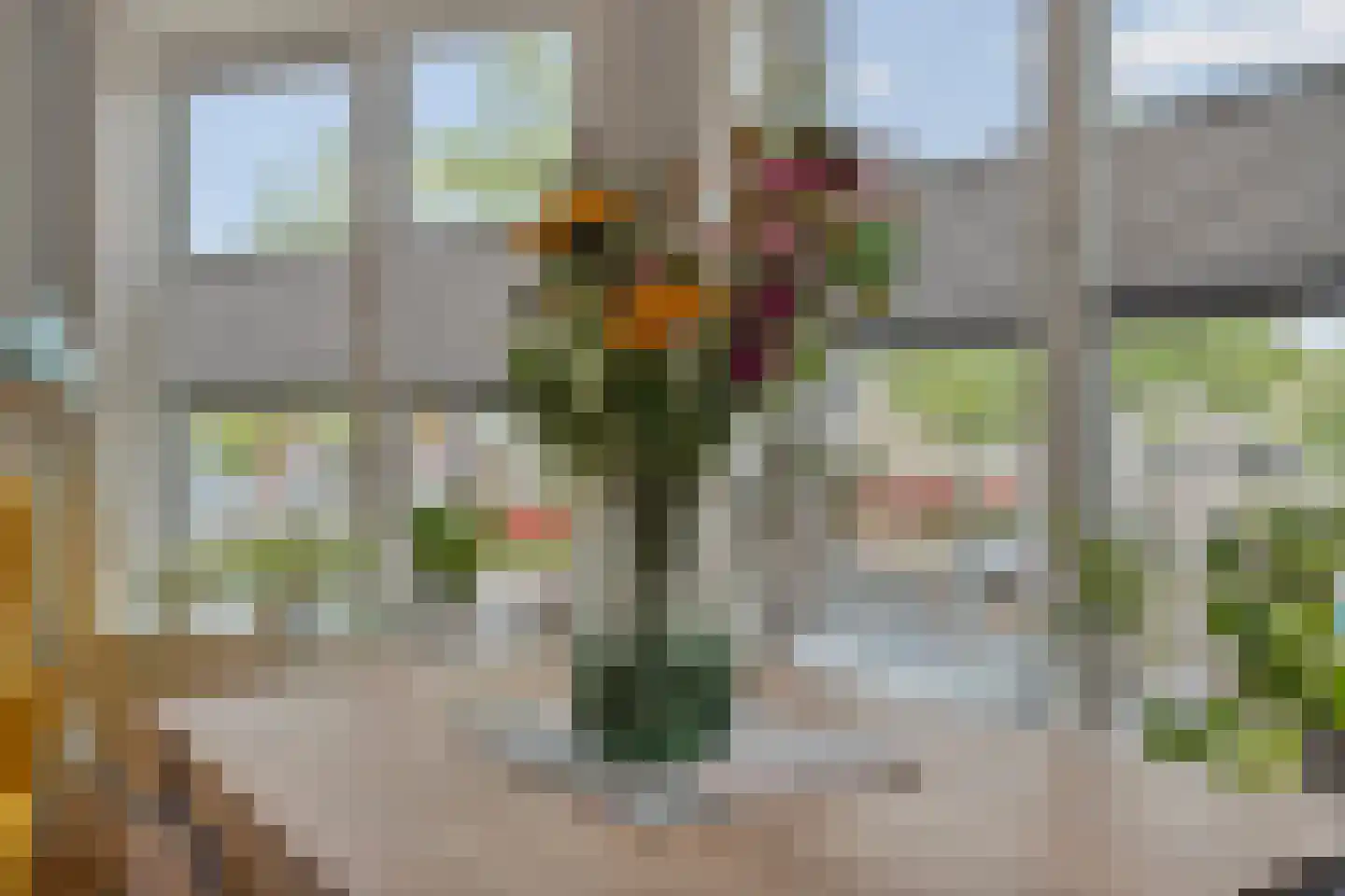 Leyweg 452 Den Haag thumbnail 14