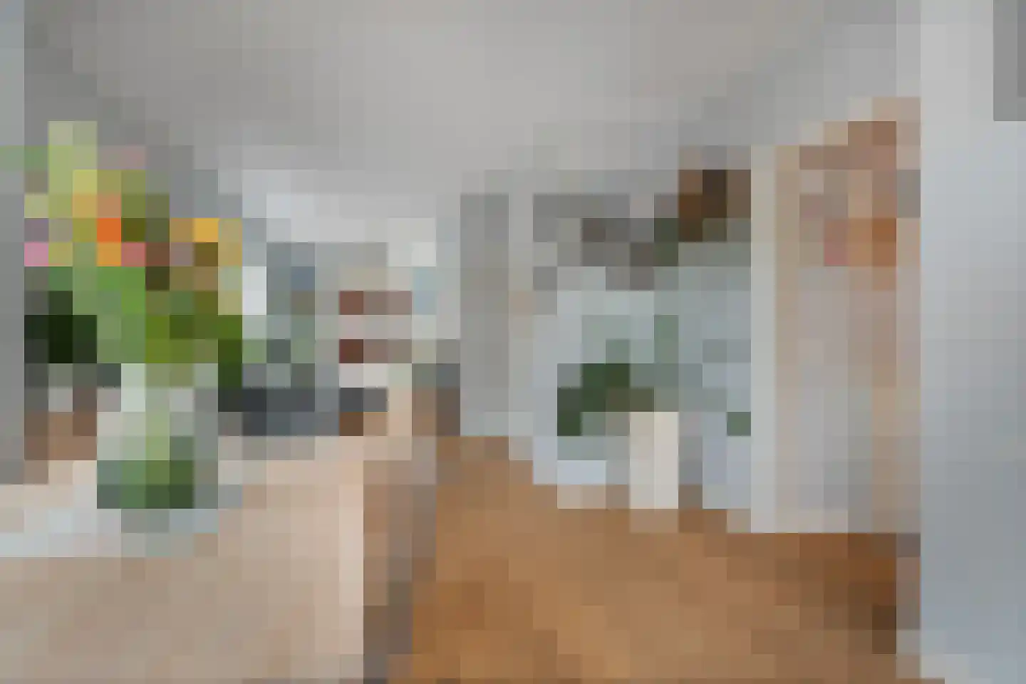 Leyweg 452 Den Haag thumbnail 17