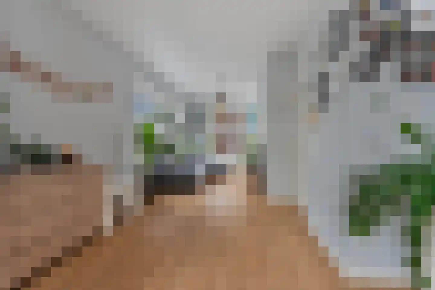 Leyweg 452 Den Haag thumbnail 18