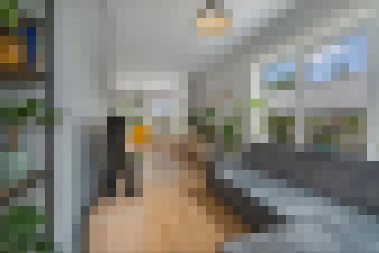 Leyweg 452 Den Haag thumbnail 25