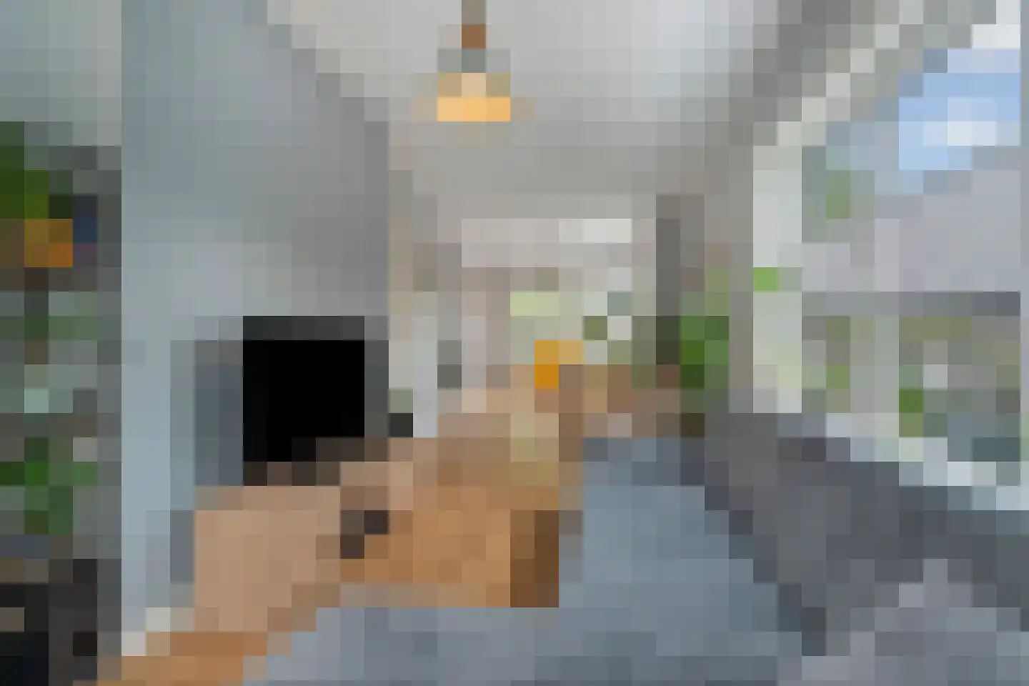 Leyweg 452 Den Haag thumbnail 26