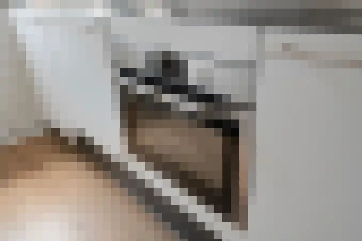 Leyweg 452 Den Haag thumbnail 33