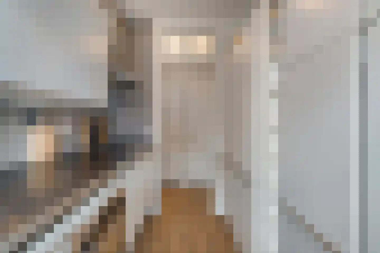 Leyweg 452 Den Haag thumbnail 33
