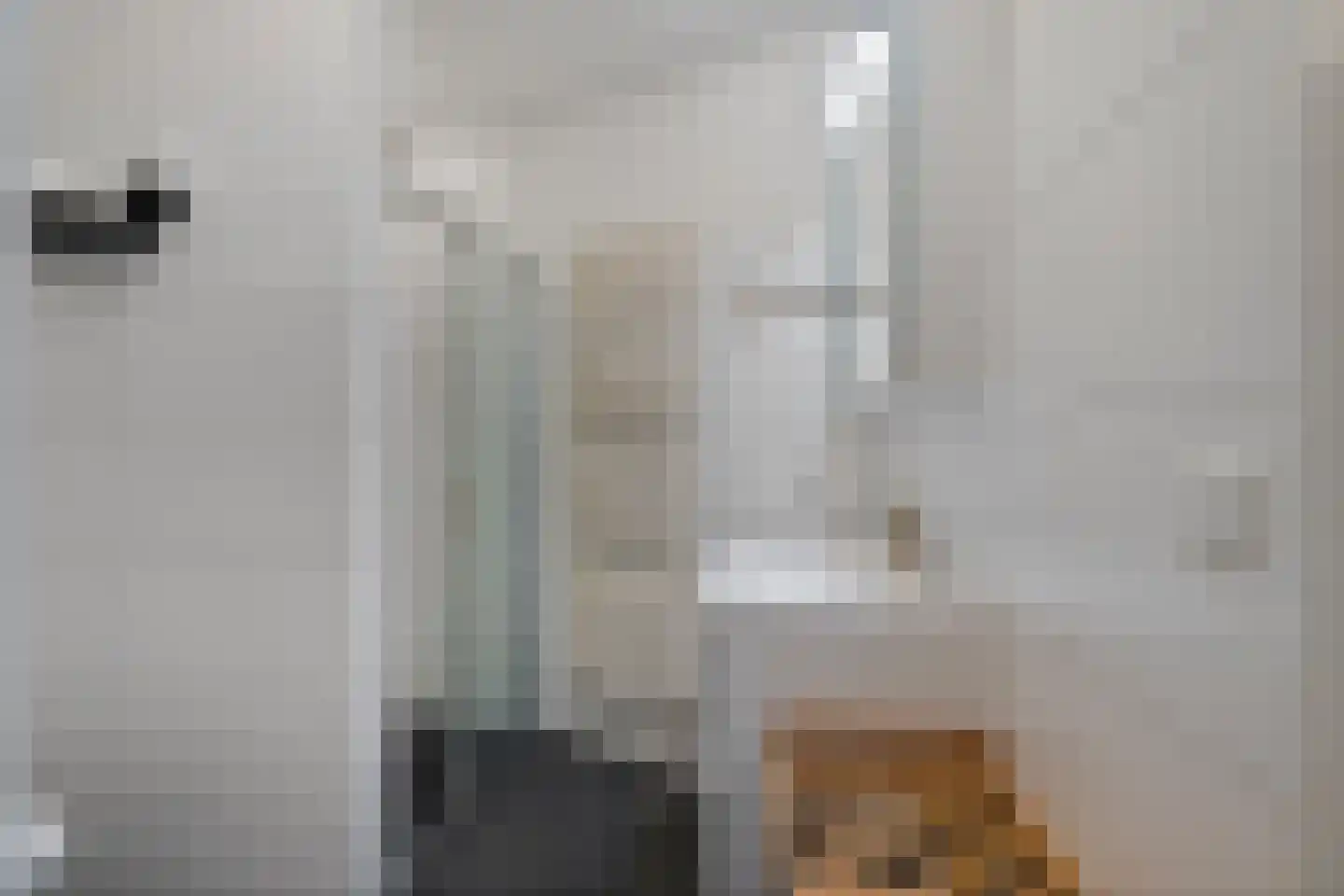 Leyweg 452 Den Haag thumbnail 43