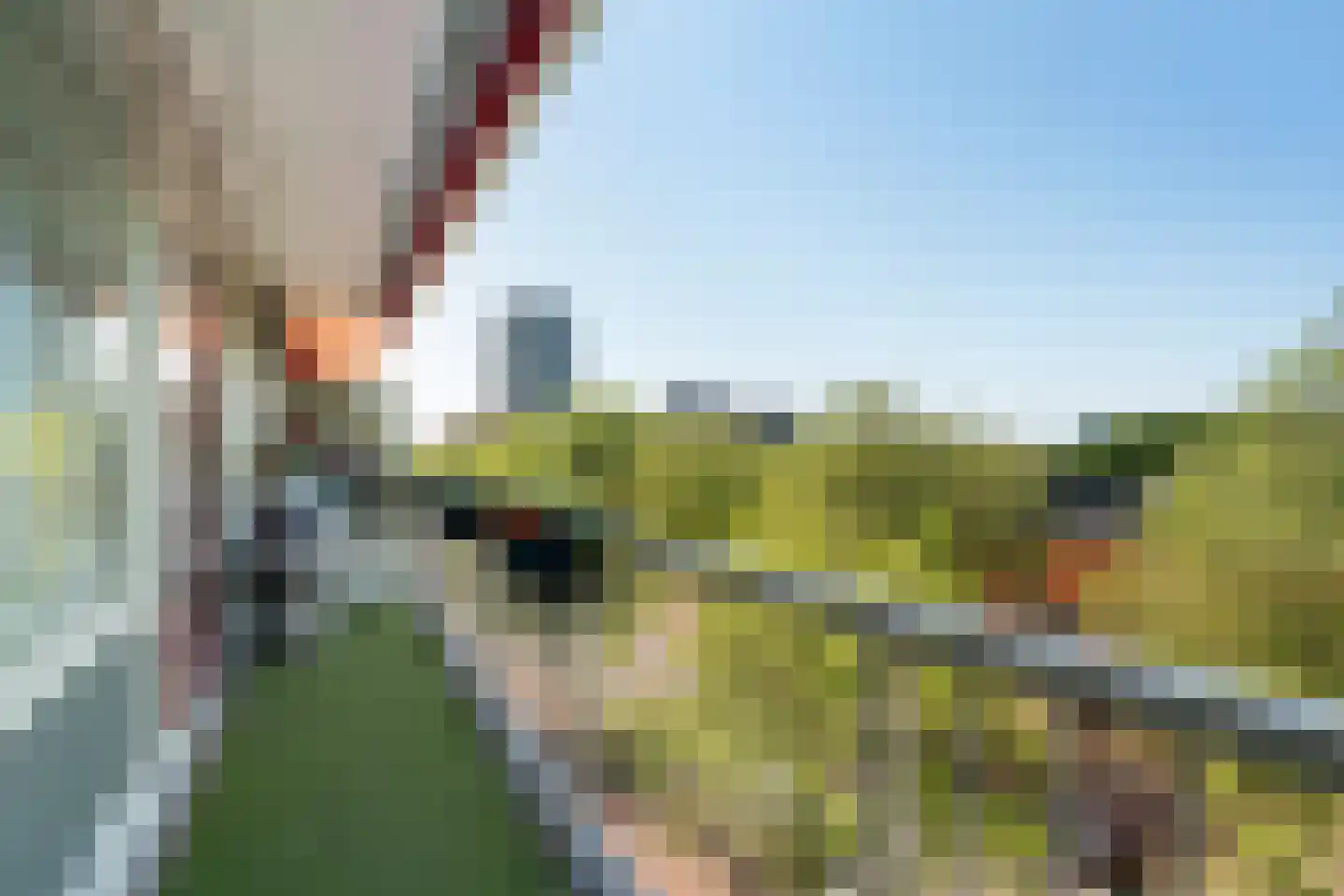 Leyweg 52 A Den Haag thumbnail 4