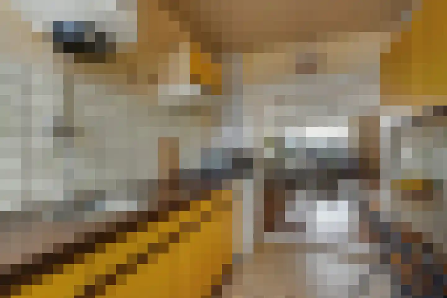 Leyweg 525 H Den Haag thumbnail 17