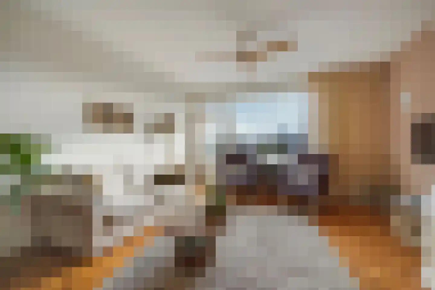 Leyweg 525 H Den Haag thumbnail 19