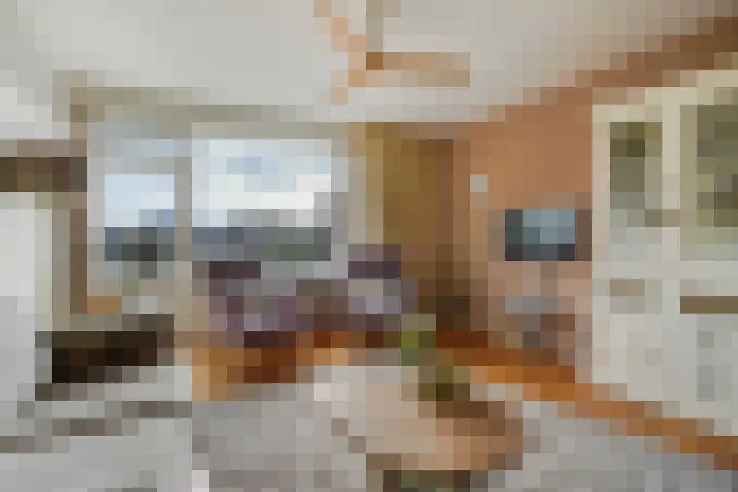 Leyweg 525 H Den Haag thumbnail 20