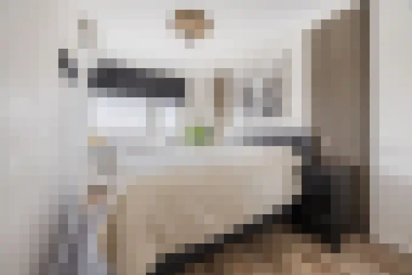 Leyweg 60 A Den Haag thumbnail 19