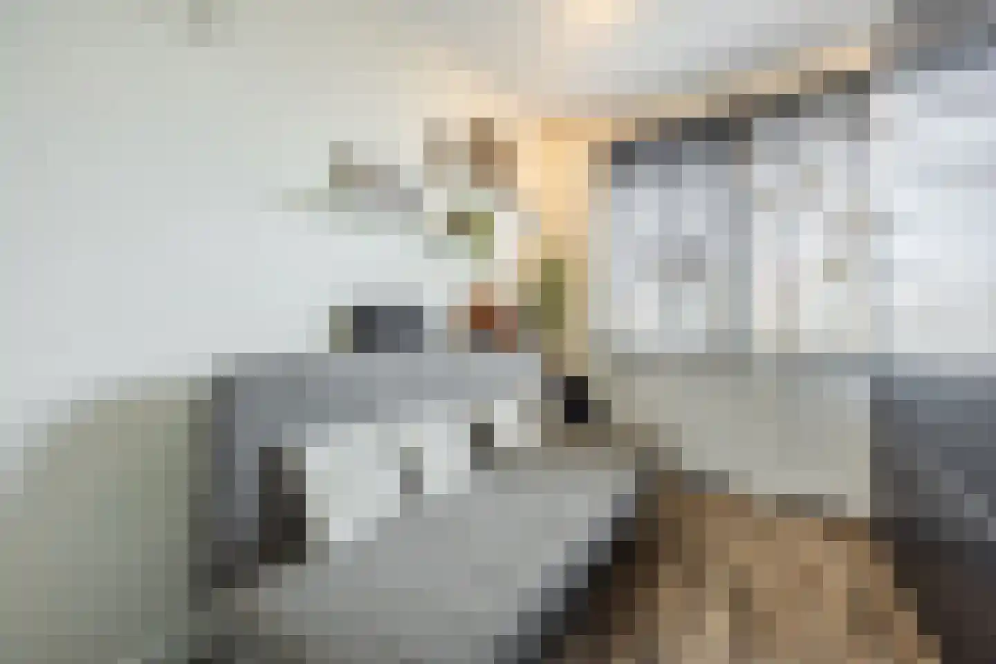 Leyweg 60 A Den Haag thumbnail 22