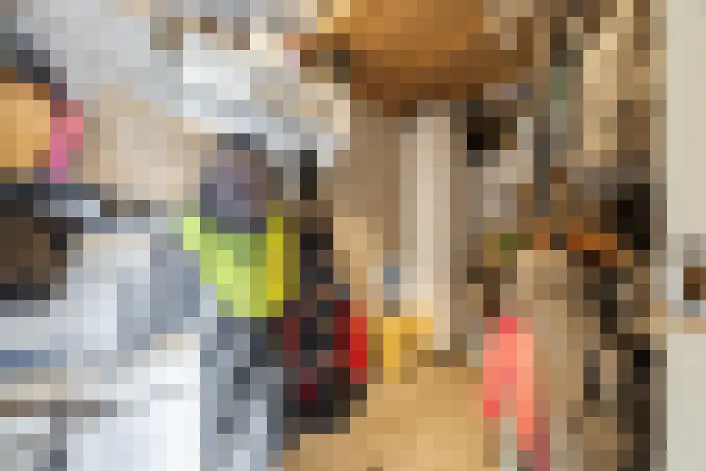 Leyweg 60 A Den Haag thumbnail 33
