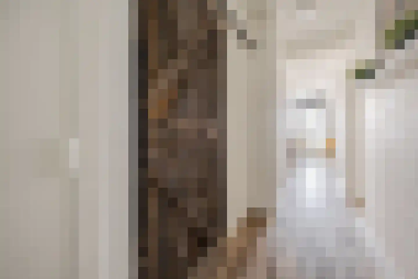 Leyweg 60 A Den Haag thumbnail 7