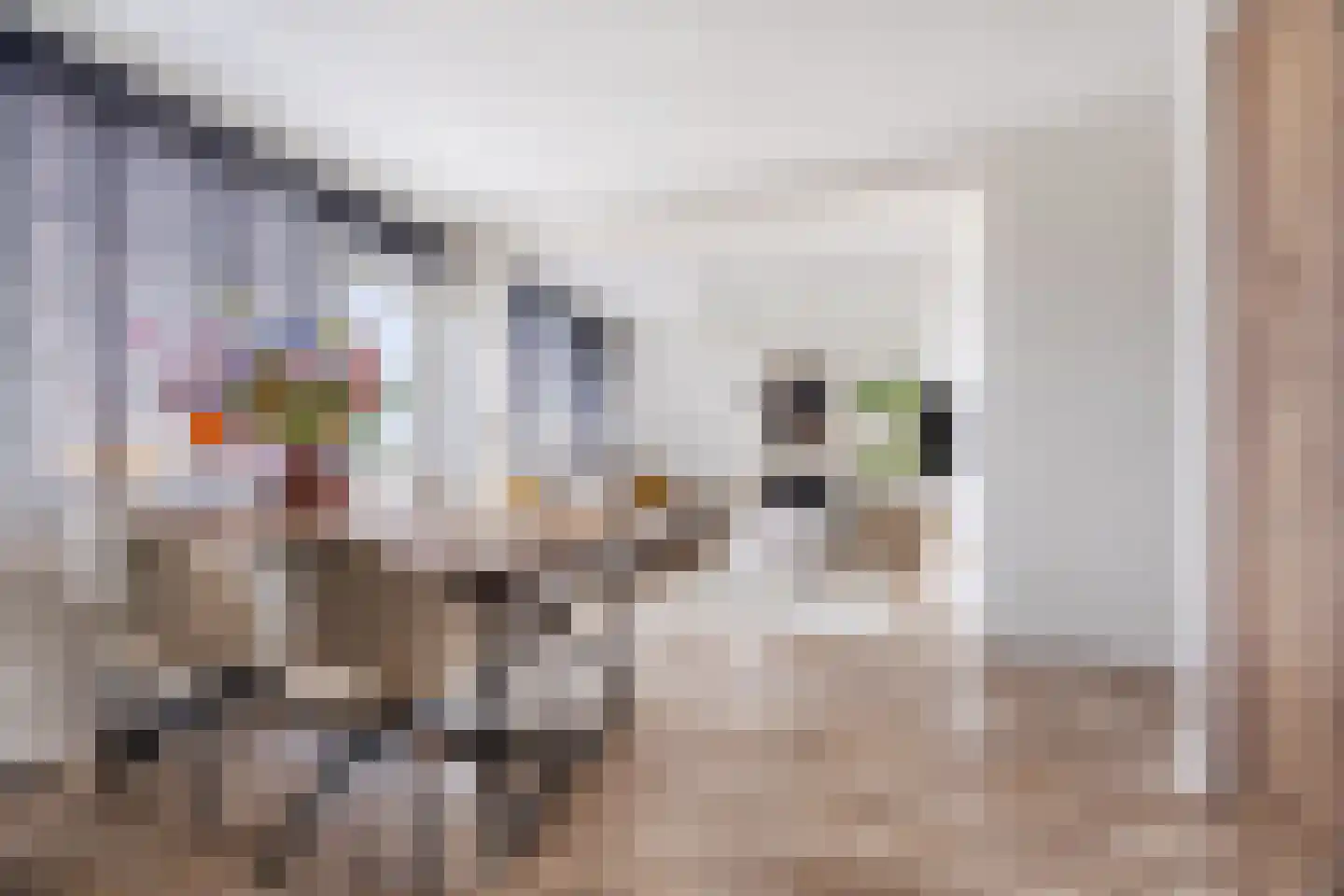 Leyweg 60 A Den Haag thumbnail 9