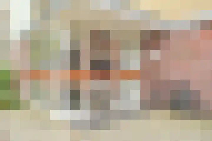 Leyweg 60 Den Haag thumbnail 18