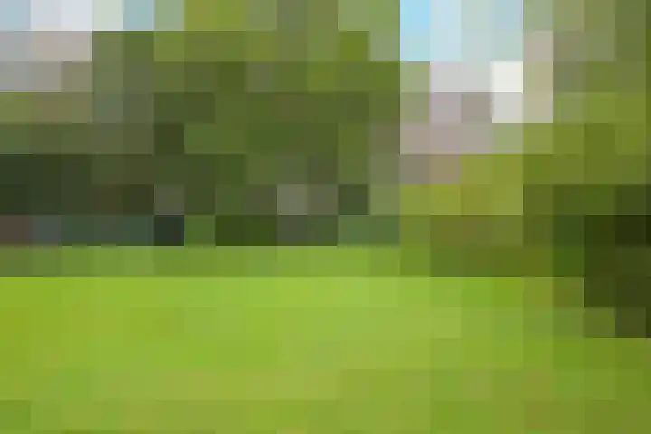 Leyweg 60 Den Haag thumbnail 39