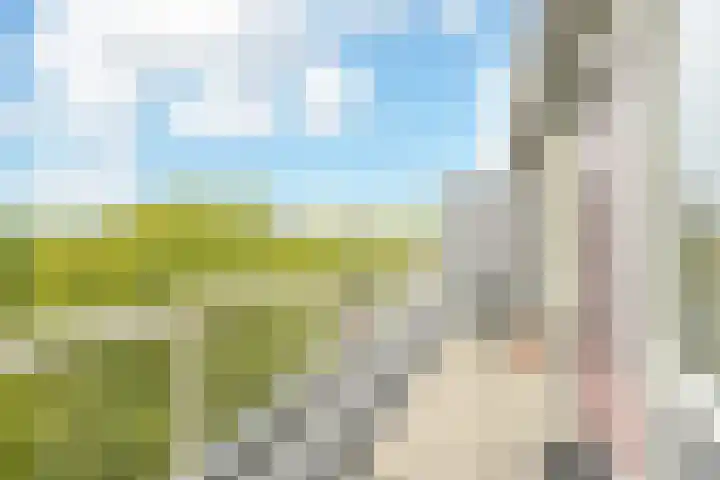 Leyweg 60 Den Haag thumbnail 4