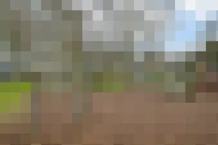 Leyweg 66 Den Haag thumbnail 26