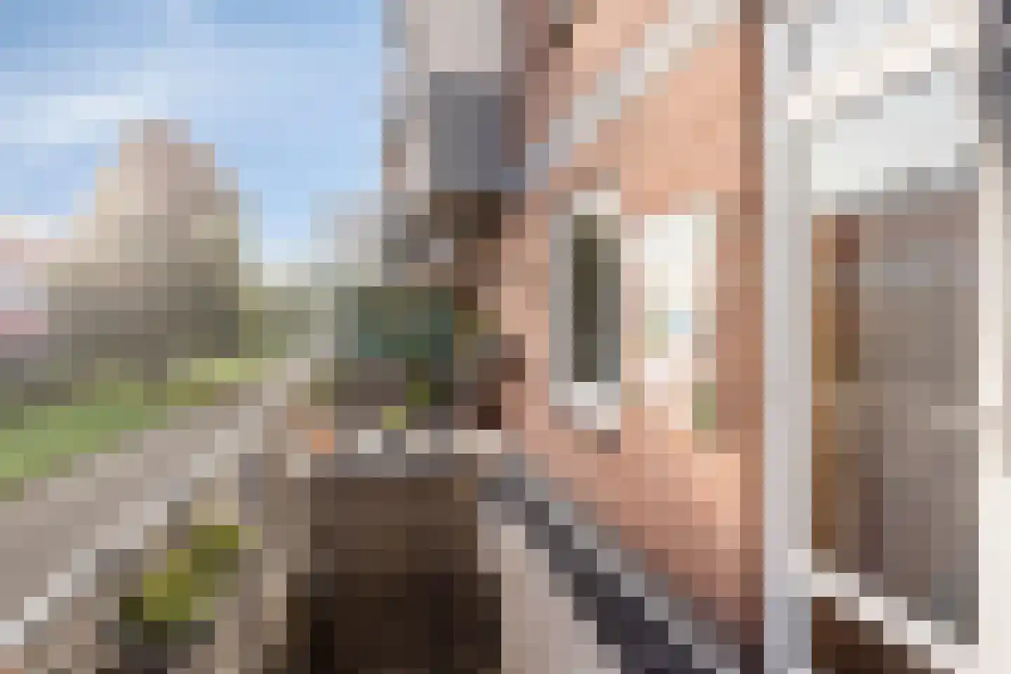 Leyweg 730 Den Haag thumbnail 4