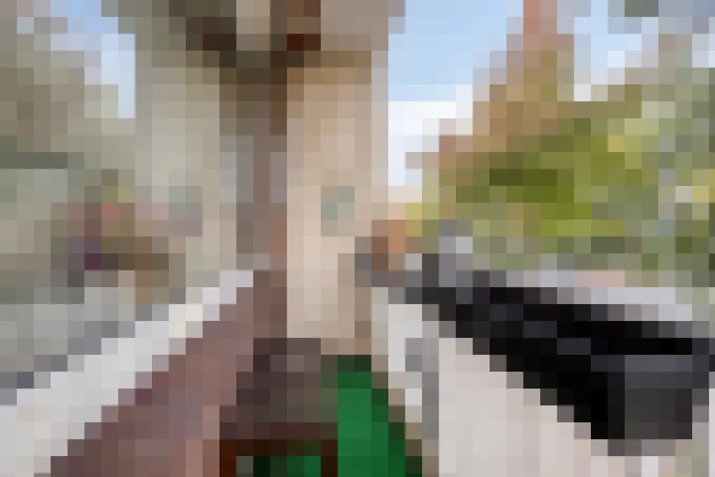 Leyweg 730 Den Haag thumbnail 8