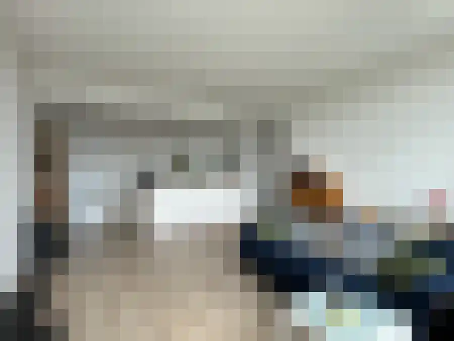 Leyweg 809 Den Haag thumbnail 6