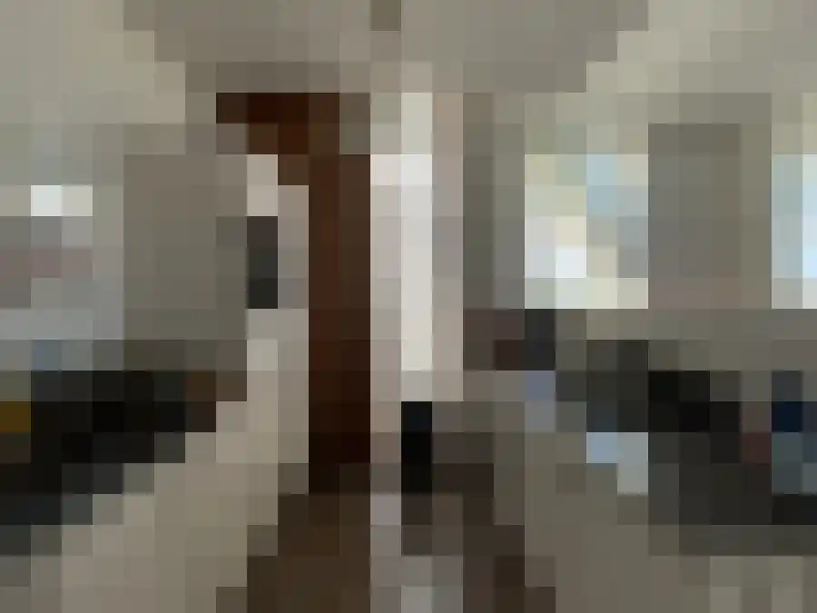 Leyweg 809 Den Haag thumbnail 6