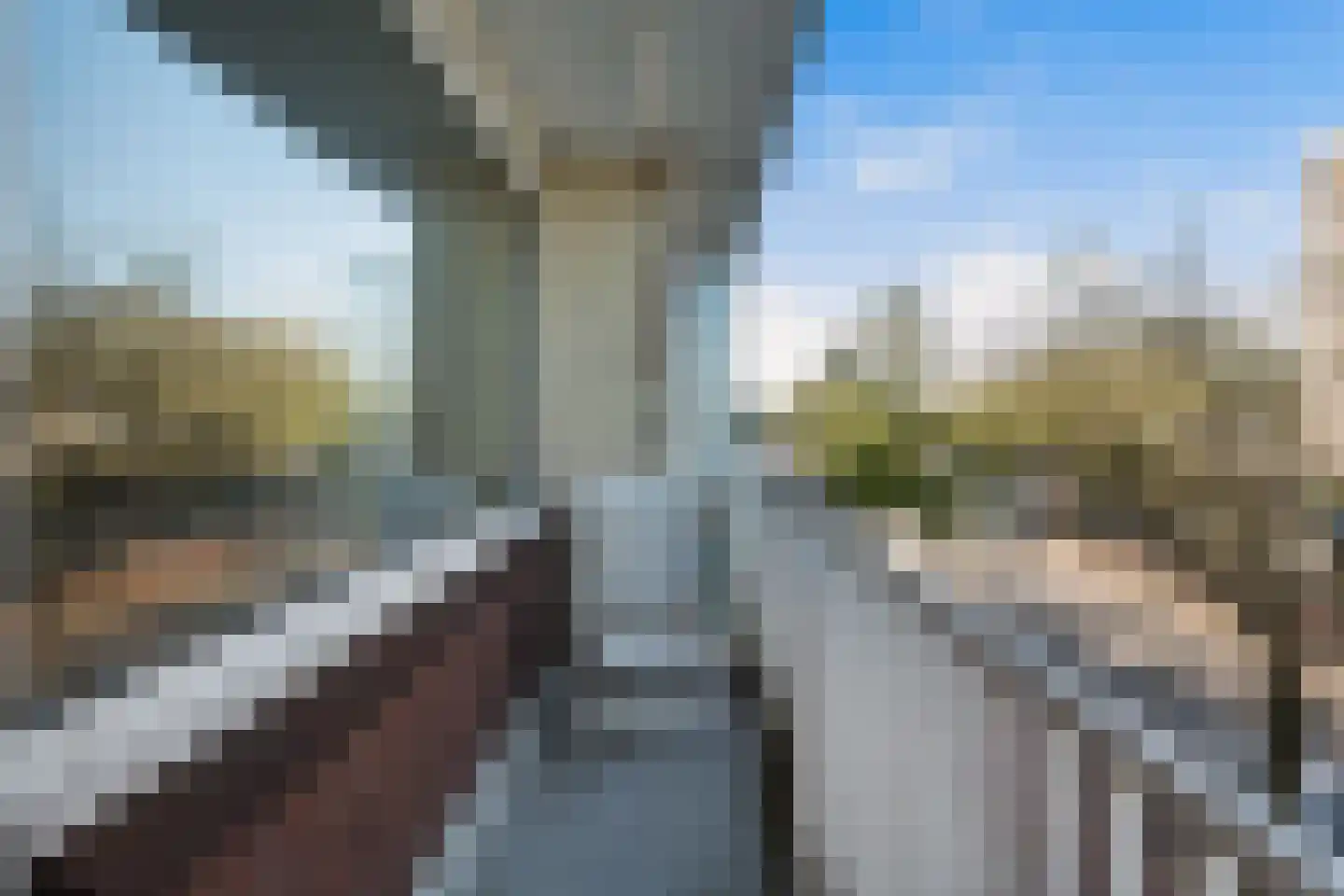 Leyweg 814 Den Haag thumbnail 19