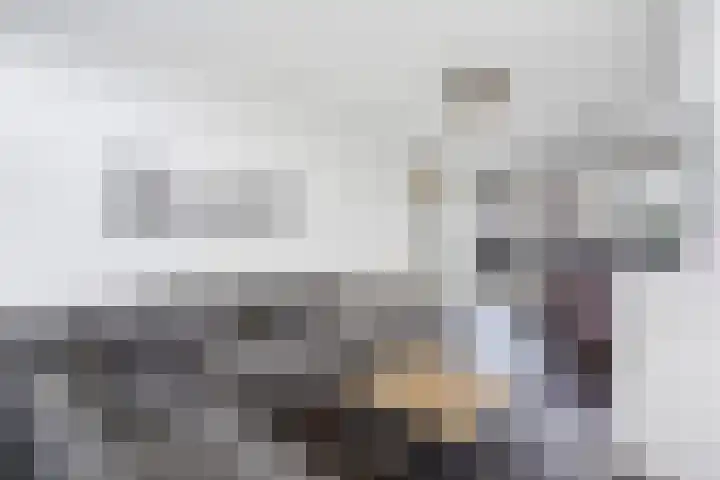 Leyweg 826 Den Haag thumbnail 8