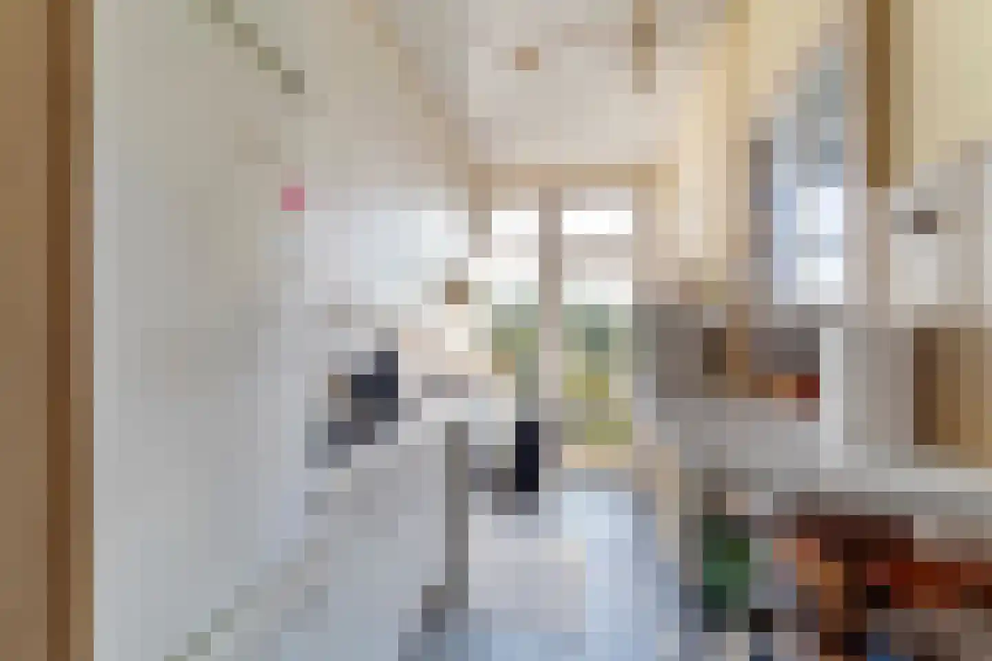 Leyweg 888 Den Haag thumbnail 12