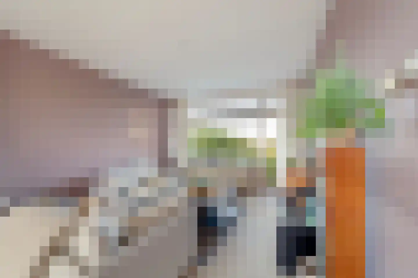 Leyweg 888 Den Haag thumbnail 5