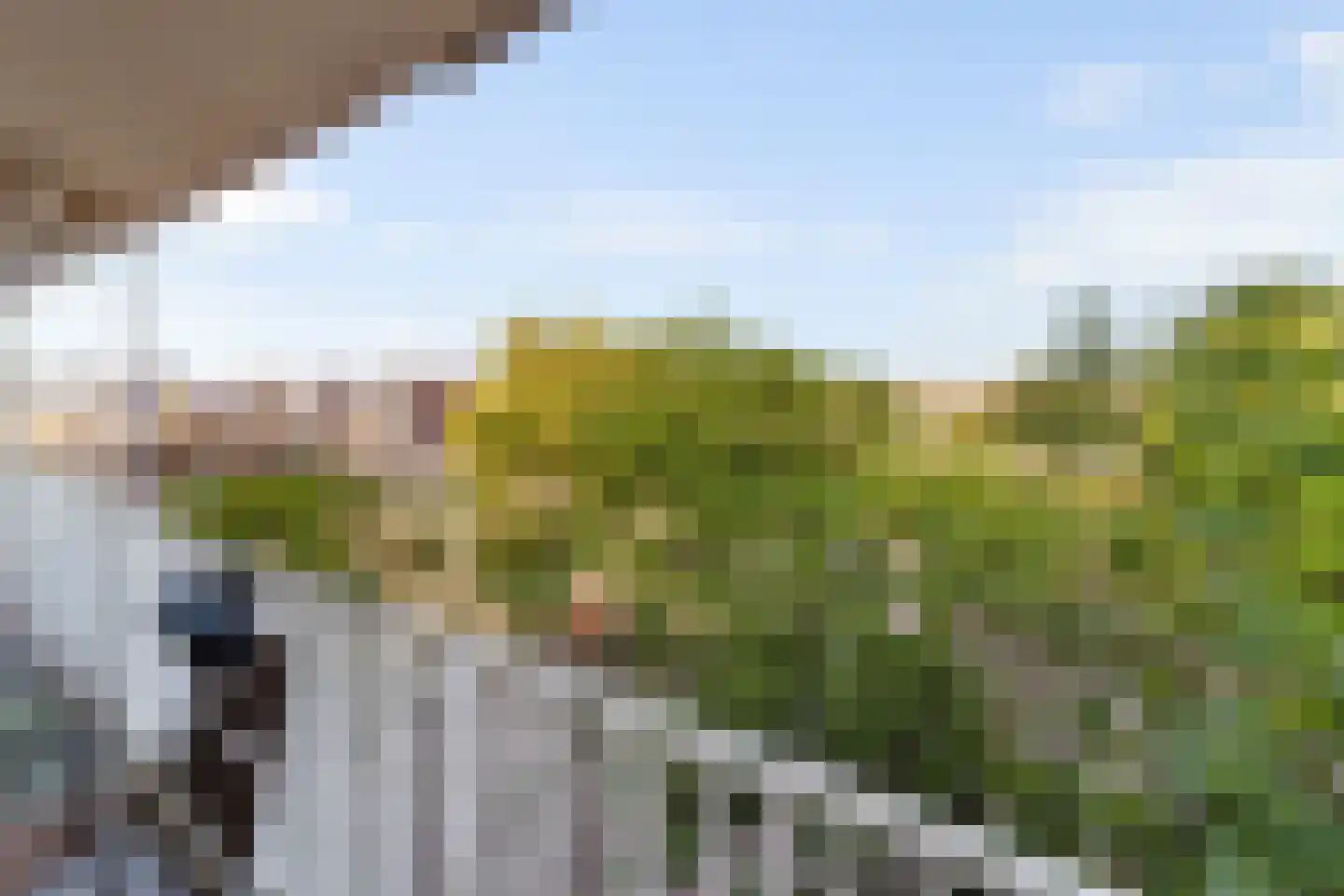 Leyweg 888 Den Haag thumbnail 9