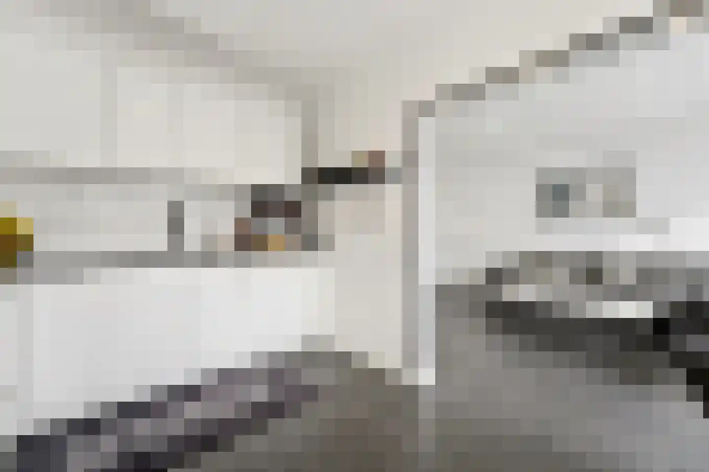 Leyweg 94 B Den Haag thumbnail 9