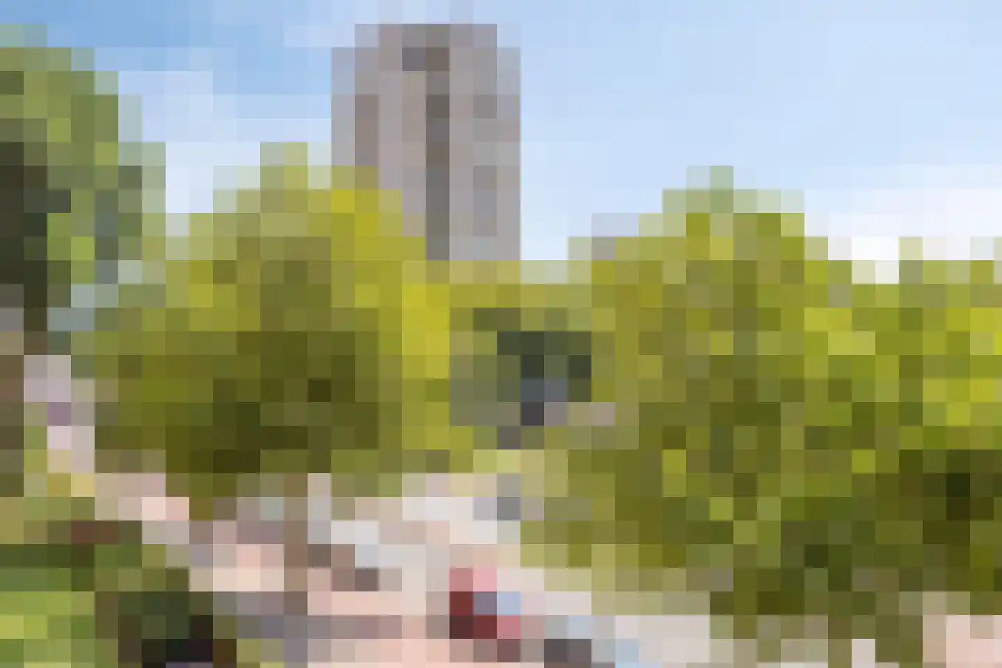 Leyweg 98 A Den Haag thumbnail 24