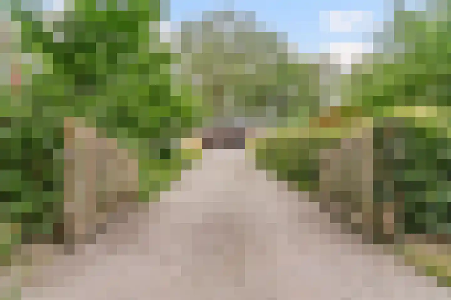 Lhee 88 b Dwingeloo thumbnail 11
