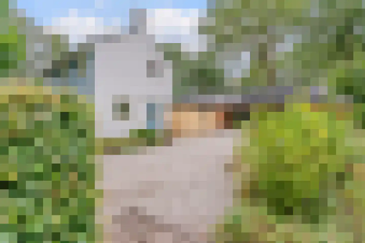 Lhee 88 b Dwingeloo thumbnail 12