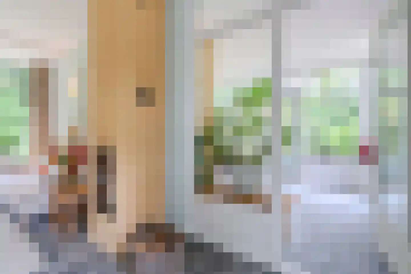 Lhee 88 b Dwingeloo thumbnail 27