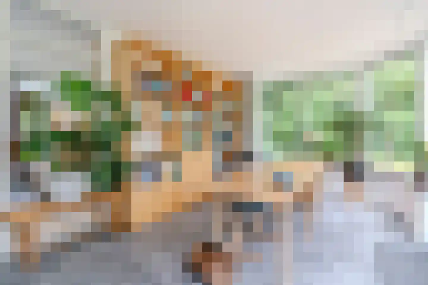 Lhee 88 b Dwingeloo thumbnail 28